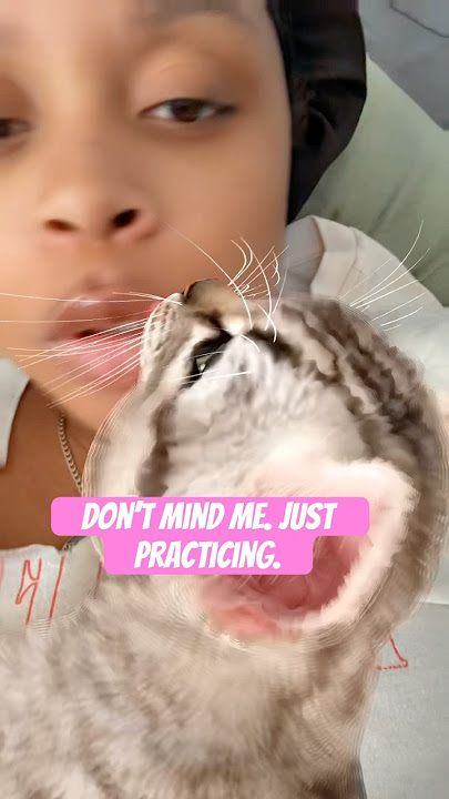 We’re not meant to be! #shortvideo #shortsfeed #shorts #short #funny #kitten #cat