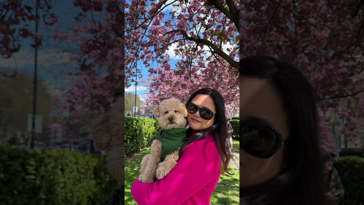 We captured the best moments from April & they’re officially hitting YouTube this month! #travel