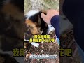 离谱瞬间,笑到肚子疼