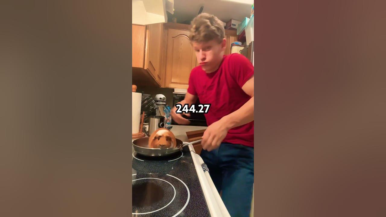 DARN! Alexa did me dirty #guineapig #funny #cooking #food #joke #relatable #shorts #funnyshorts ￼
