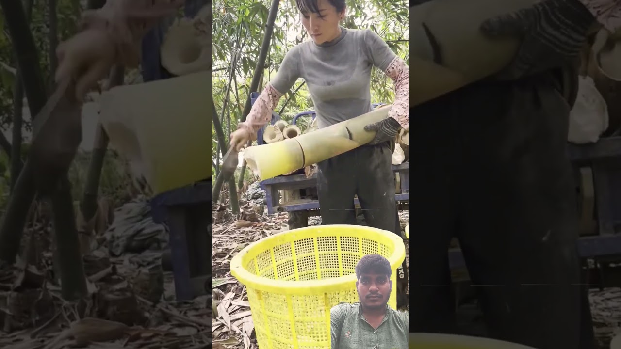 #timelapse, start to finish Alone build log cabin (wooden house), how to Build wooden cabin, surviva