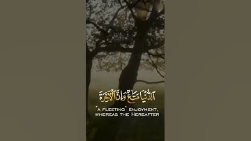 يَا قَوْمِ إِنَّمَا هَٰذِهِ الْحَيَاةُ الدُّنْيَا مَتَاعٌ - القارئ ادريس أبكر