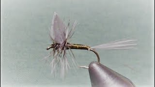 Reverse Wing Reverse Hackle dry fly tied by MIke Swederska Sr