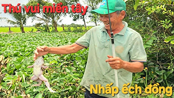 85 | Nhấp ếch đồng đầu mùa nước nổi