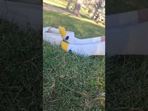 sit in the park with me