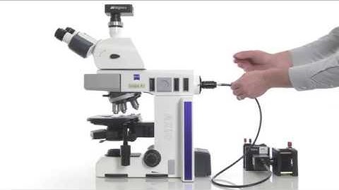 Microscopy LEDs