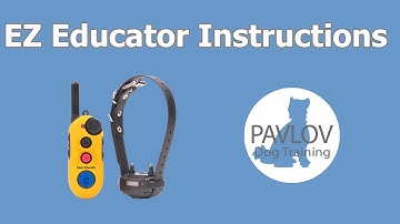 EZ Educator Instructions