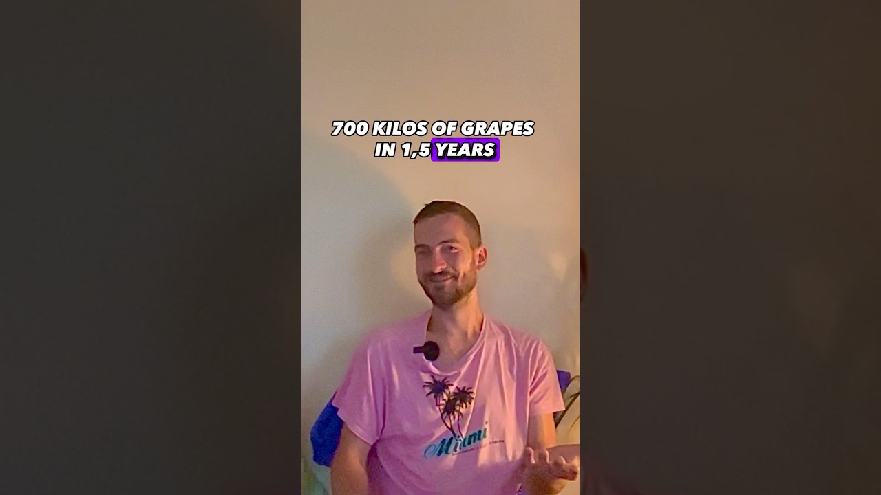 No. 1 Tip For More Ease And Simplicity On A Rawtill4/raw vegan Lifestyle 