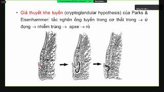 APXE - RÒ HẬU MÔN | BS. HOÀNG DANH TẤN