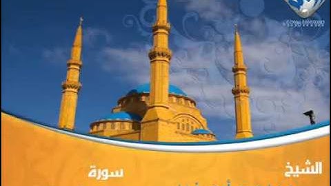 قراءة ما تيسر من القرآن الكريم  للشيخ ممدوح ابو زيد قارئ مصري