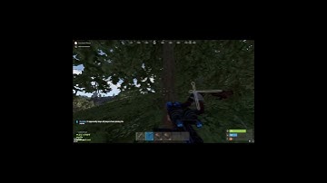 HE WAS HIDING IN THE BUSH#rust #shorts