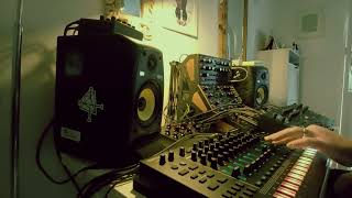 Techno Moog Labyrinth Erica Synths Echolocator