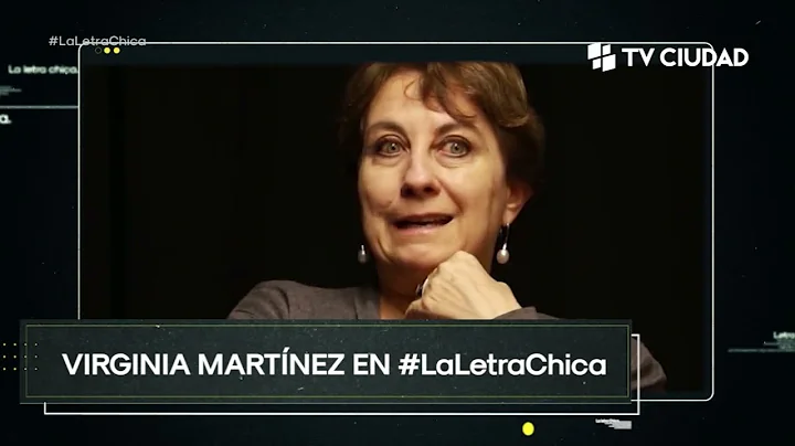 La letra chica - Entrevista a Virginia Martnez
