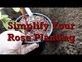 Simplify your rose planting