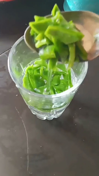 cactus water is a good immune booster