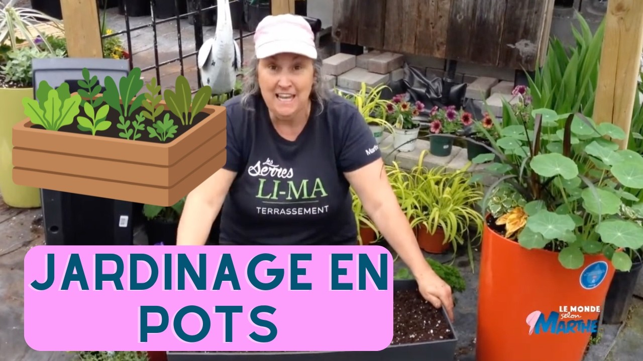Jardiner en pot : comment réussir? - capsule horticole