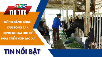 ĐỒNG BẰNG SÔNG CỬU LONG TẬN DỤNG NGOẠI LỰC ĐỂ PHÁT TRIỂN HỢP TÁC XÃ | HTV Tin Tức