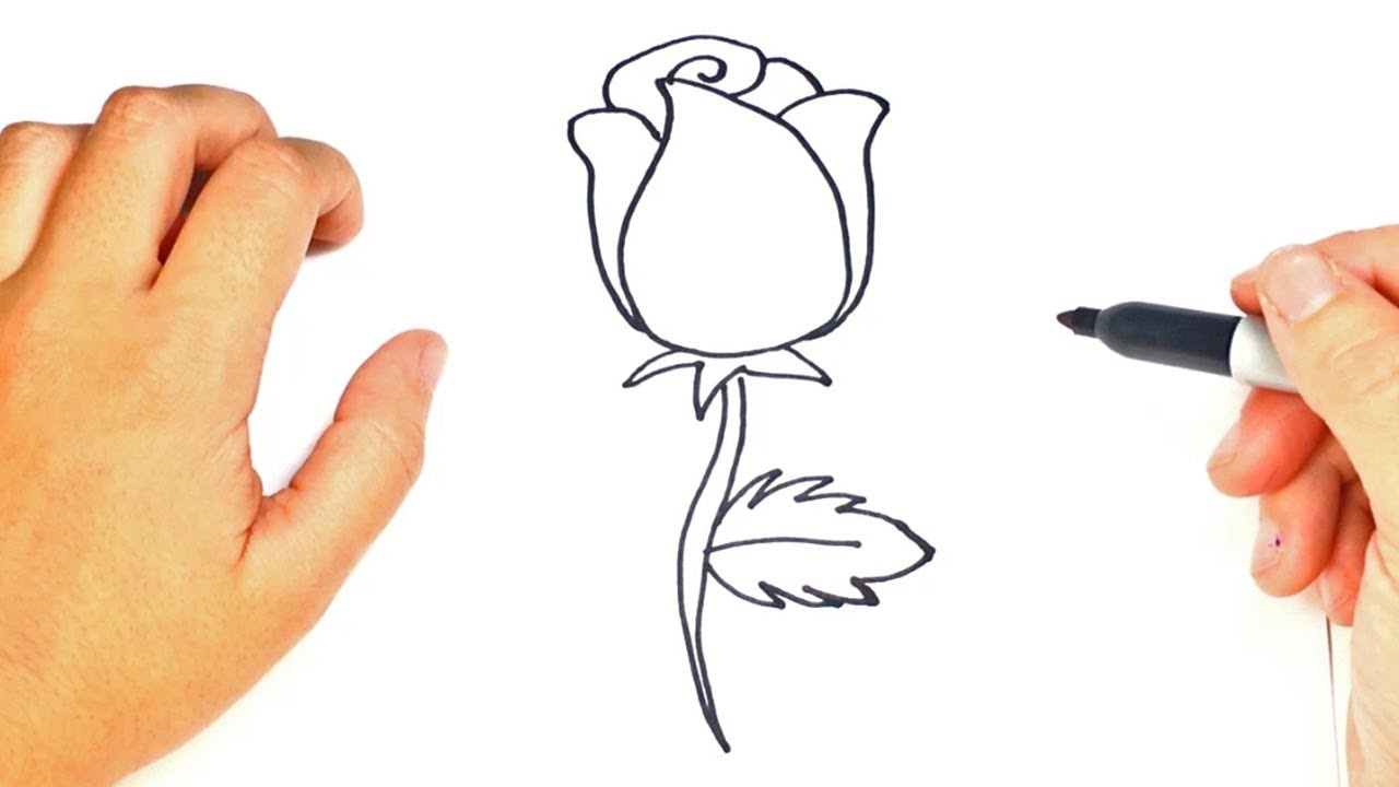 Cómo Dibujar Un Rosa Paso A Paso Dibujo Fácil De Rosa Youtube