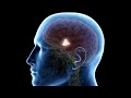 Unlocking The Brain Mystery #brain #hypothelamus
