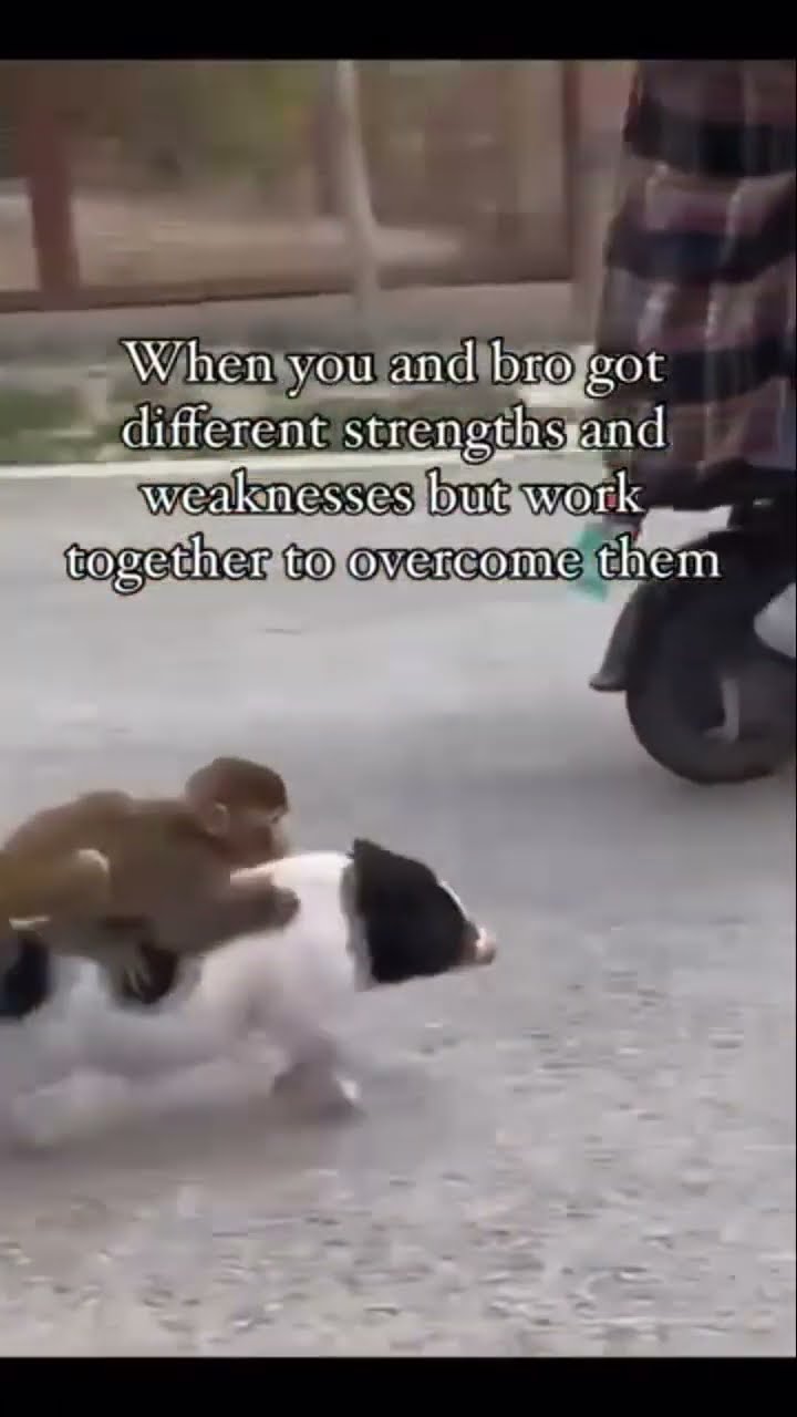 When you and bro overcome the weaknesses
