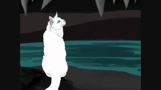 Warriors Cat MEP 11 and 12 Part