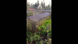 Penangkaran Kupu-kupu