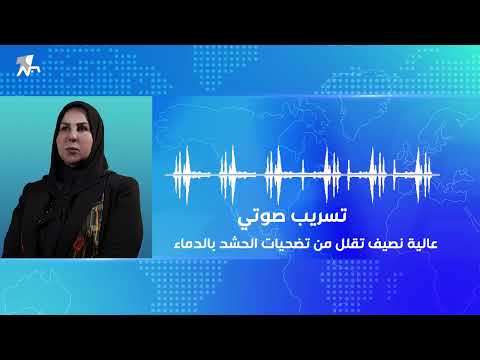 تسريب صوتي النائب عالية نصيف تقلل من تضحيات الحشد بالدماء