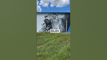 HUGE lion mural!! #shorts #lionvideo #lionartvideo #streetartvideo