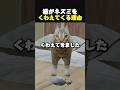ネコのプレゼントの意味