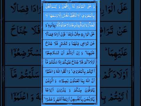 Surah Baqarah Ayat 233 
