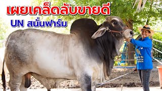 เผยเคล็ดลับการขายดี ของ UN สนั่นฟาร์ม | พี่พร UN Farm ต.หูช้าง อ.บ้านไร่ จ.อุทัยธานี