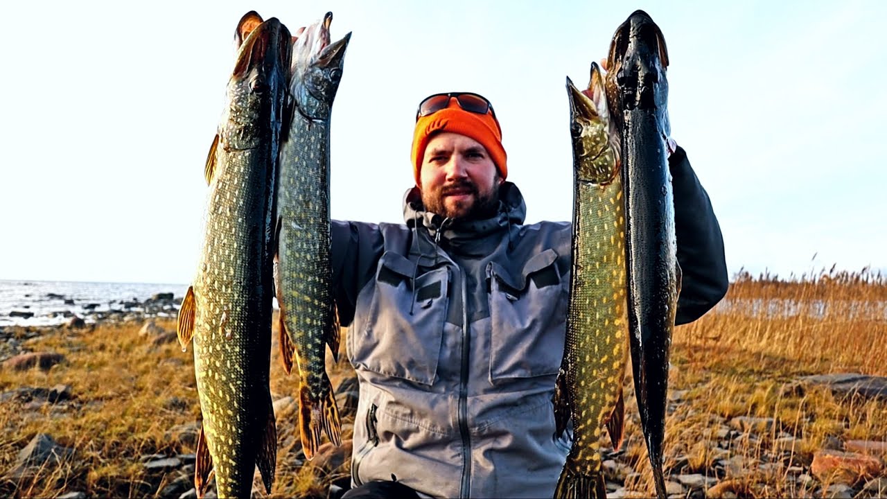 RUOKAA MERESTÄ - HAUKEA KIVIKOILTA PIKKUJERKILLÄ