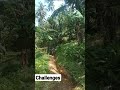 Take the difficult road🙏😇 #shorts #viralvideo #reels