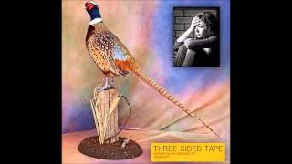 Lil Ugly Mane/Shawn Kemp - FLOSS THRU YA TOWN (THREE SIDED TAPE VOLUME TWO) (S3.2)