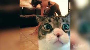 Ultimate Fails Compilation 2014    FailArmy Best Fails of the Year cut