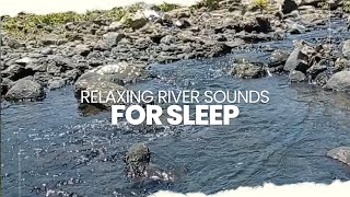 Relaxing River Sounds For Sleep | Peaceful Forest River | Nature Sounds | Sensational AMRS