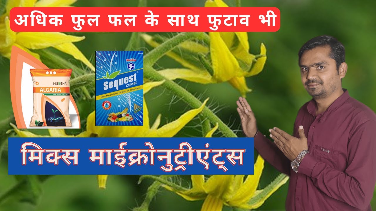 Importance of Mix Micronutrient fertilizer in our crops | farming | best micronutrients for plant |