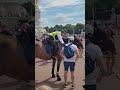 police woman on horseback  grabs tourist by his rucksack dont be rude to me #buckinghampalace part 1
