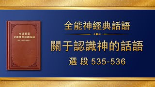 全能神經典話語《關于認識神的話語》選段535-536