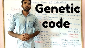Genetic code | part- 6 Molecular basis of inheritance class 12