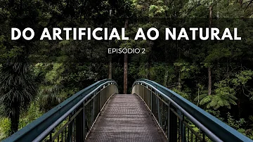 O quê origem artificial?