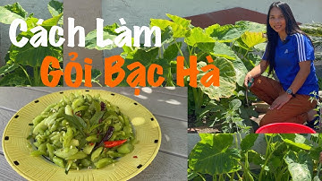 Thu Hoạch và Làm Gỏi Bạc Hà | Nộm Dọc Mùng | Ăn Giòn, Ngon | Cách Làm Đơn Giản| Tasty Salad. ENG SUB