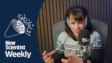 Does Google’s new quantum computer prove the multiverse exists?