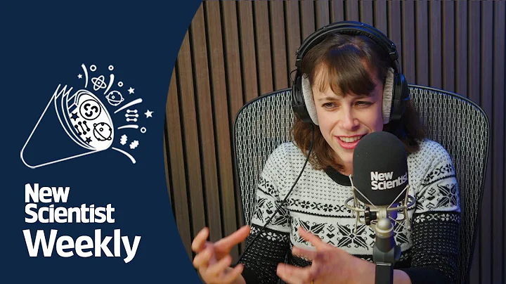 Does Google’s new quantum computer prove the multiverse exists?