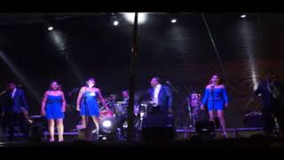 Video thumbnail of "Pato a la olla Sonora Puerto Rico"