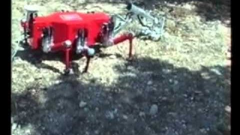 SILO-6 carrying the manipulator and sensor head