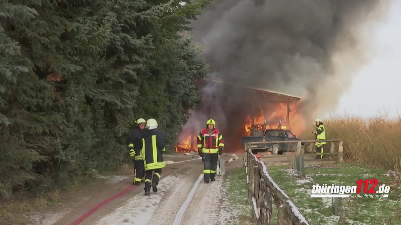 Großbrand zerstört Lagerhalle bei der Heidelbeerplantage in Blankenhain - Hunde gerettet