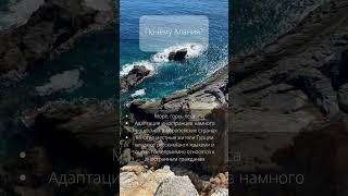 Недвижимость в Турции, Алания, Мерсин, Средиземноморье