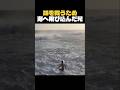 大波にさらわれた妹を救った兄