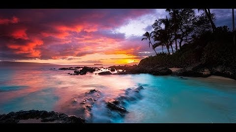 سورة النساء ( الحزب 10 ) القارئ عبدالمحسن القاسم